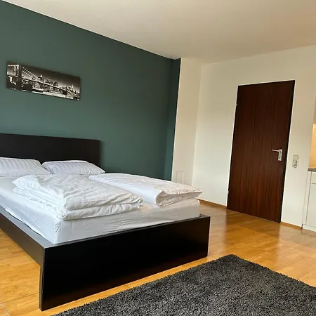 Near Main Train Station Apartment Linz